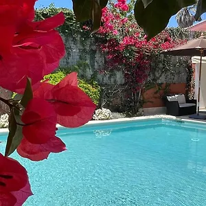 With Private Swimming Pool And Garden Apartment Cascais